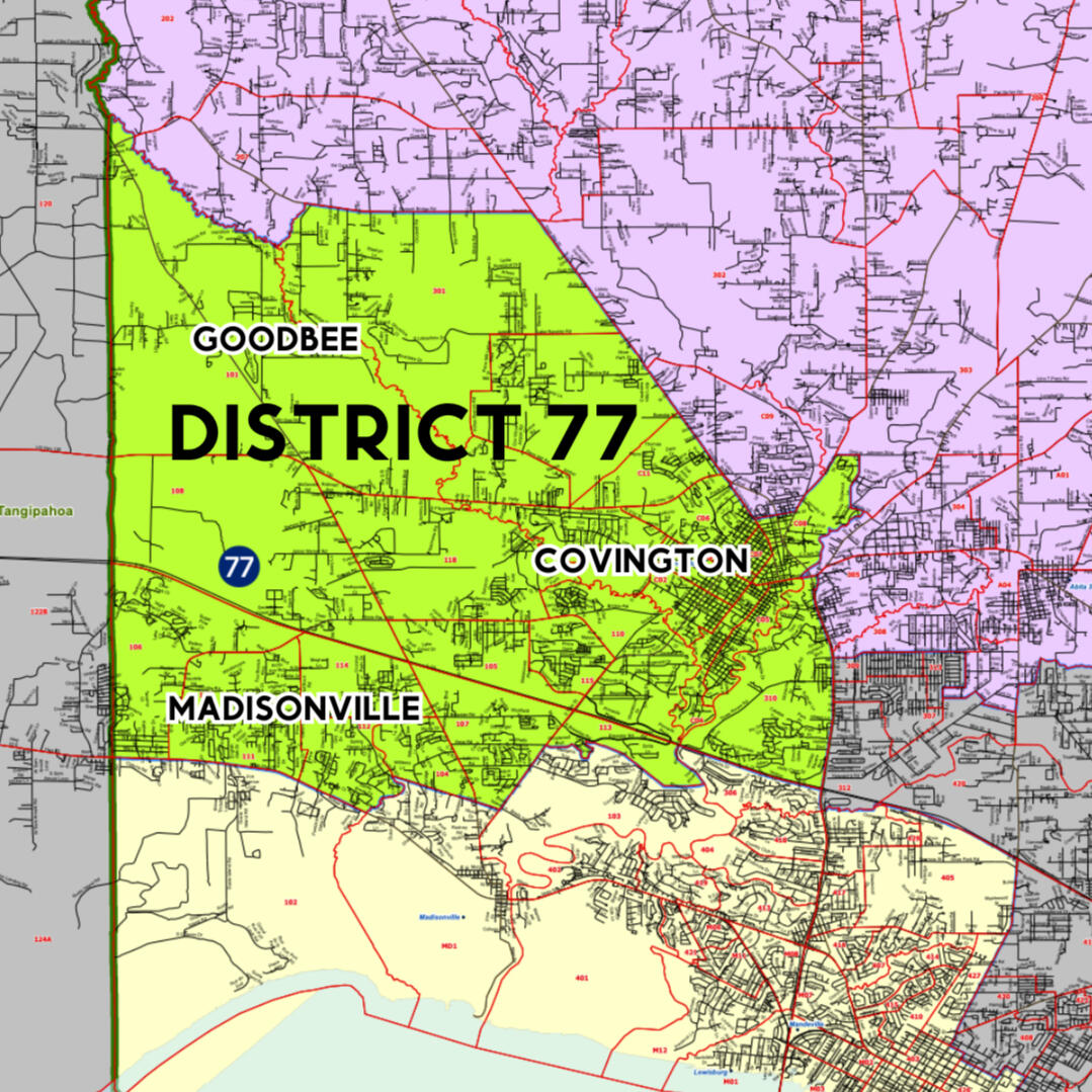 Louisiana Democratic State Central Committee and House of Representatives District 77